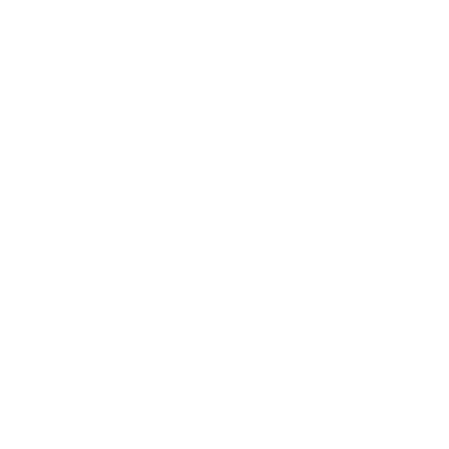 logo-white-transparent.png